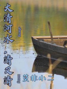 大清河水情
